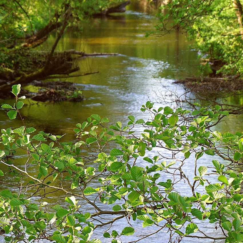 Rivière nature