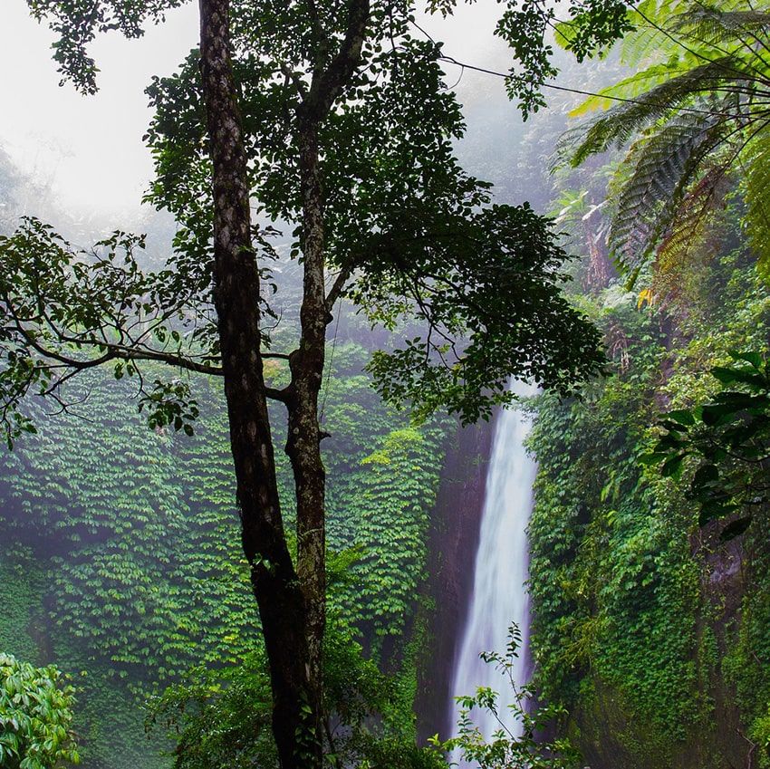 Cascade Amazonie