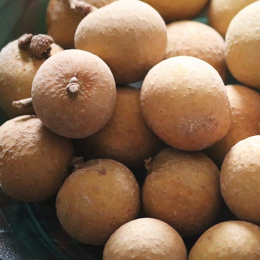 Fruits longani