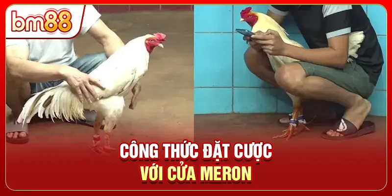 Công thức đặt cược với cửa Meron