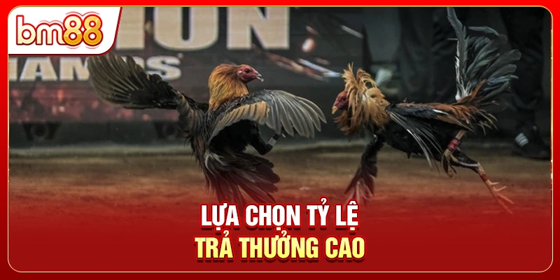 Lựa chọn tỷ lệ trả thưởng cao