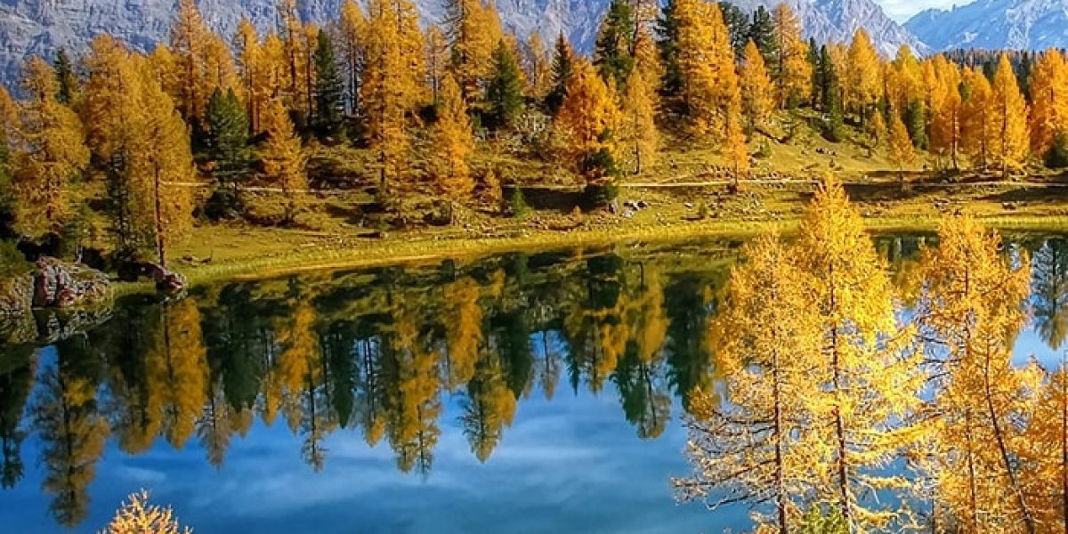 Lac automne